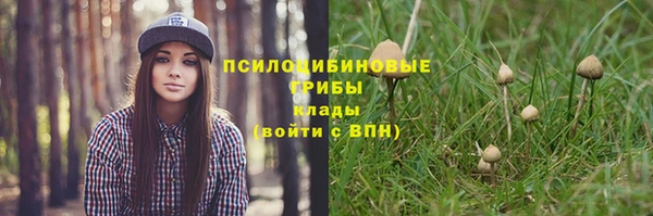 шишки Алзамай