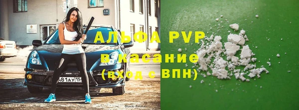 шишки Алзамай