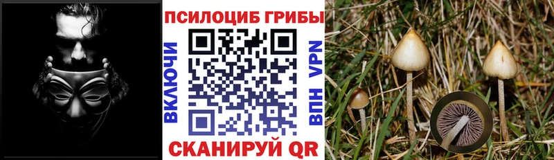 как найти   MEGA сайт  Галлюциногенные грибы ЛСД  shop официальный сайт  Бикин 